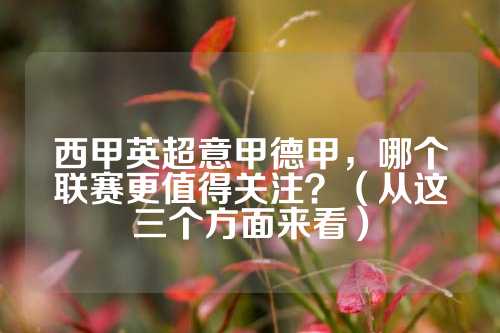 莱赫的争夺