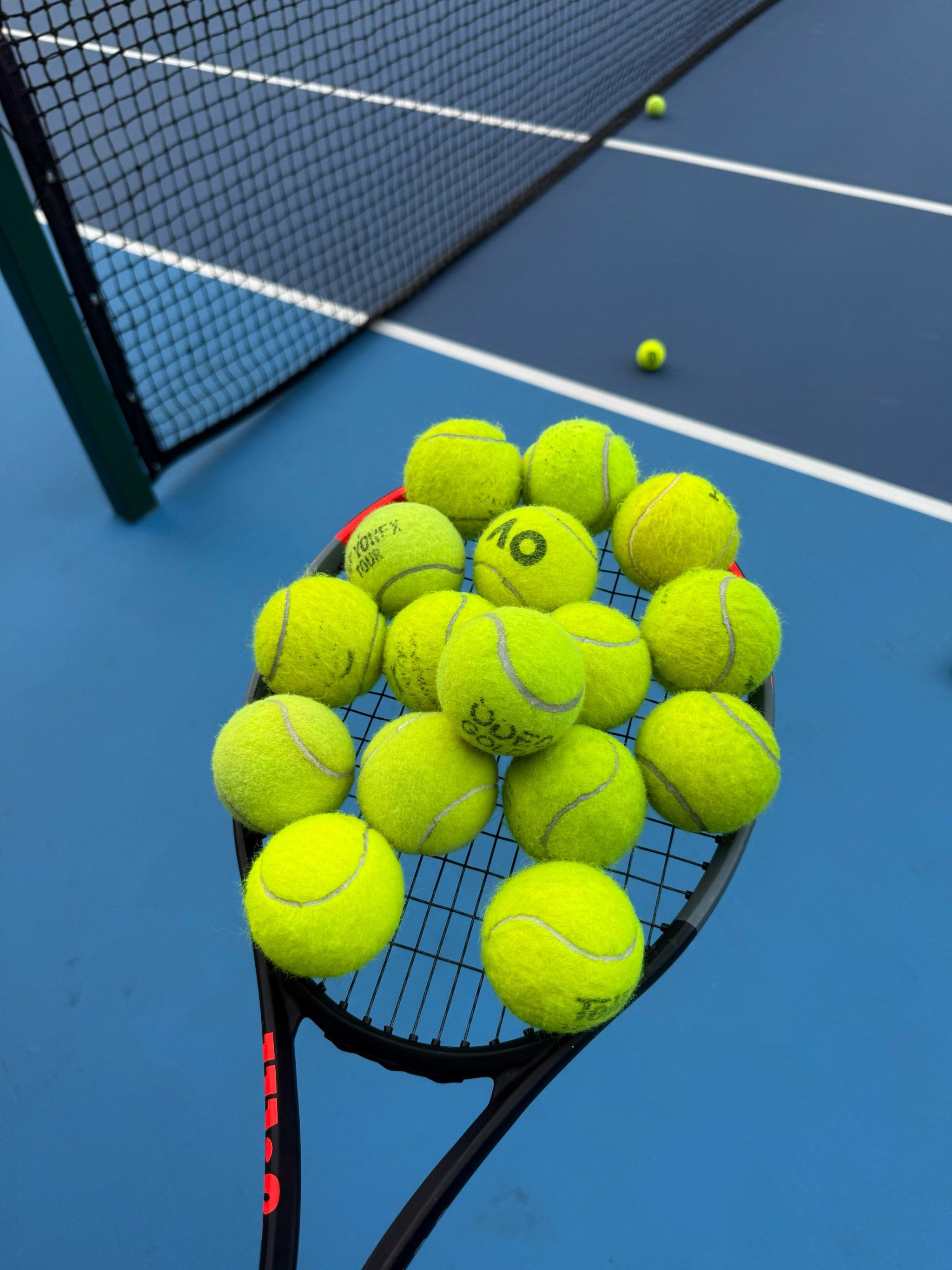 被许多收藏 被许多收藏