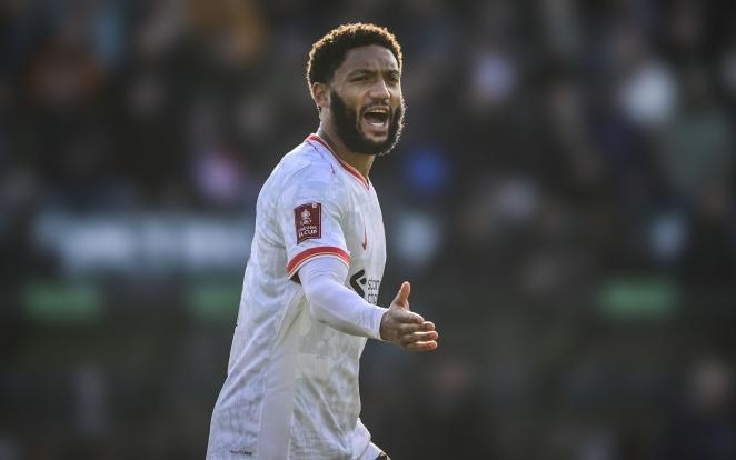 湖人完全可 湖人完全可