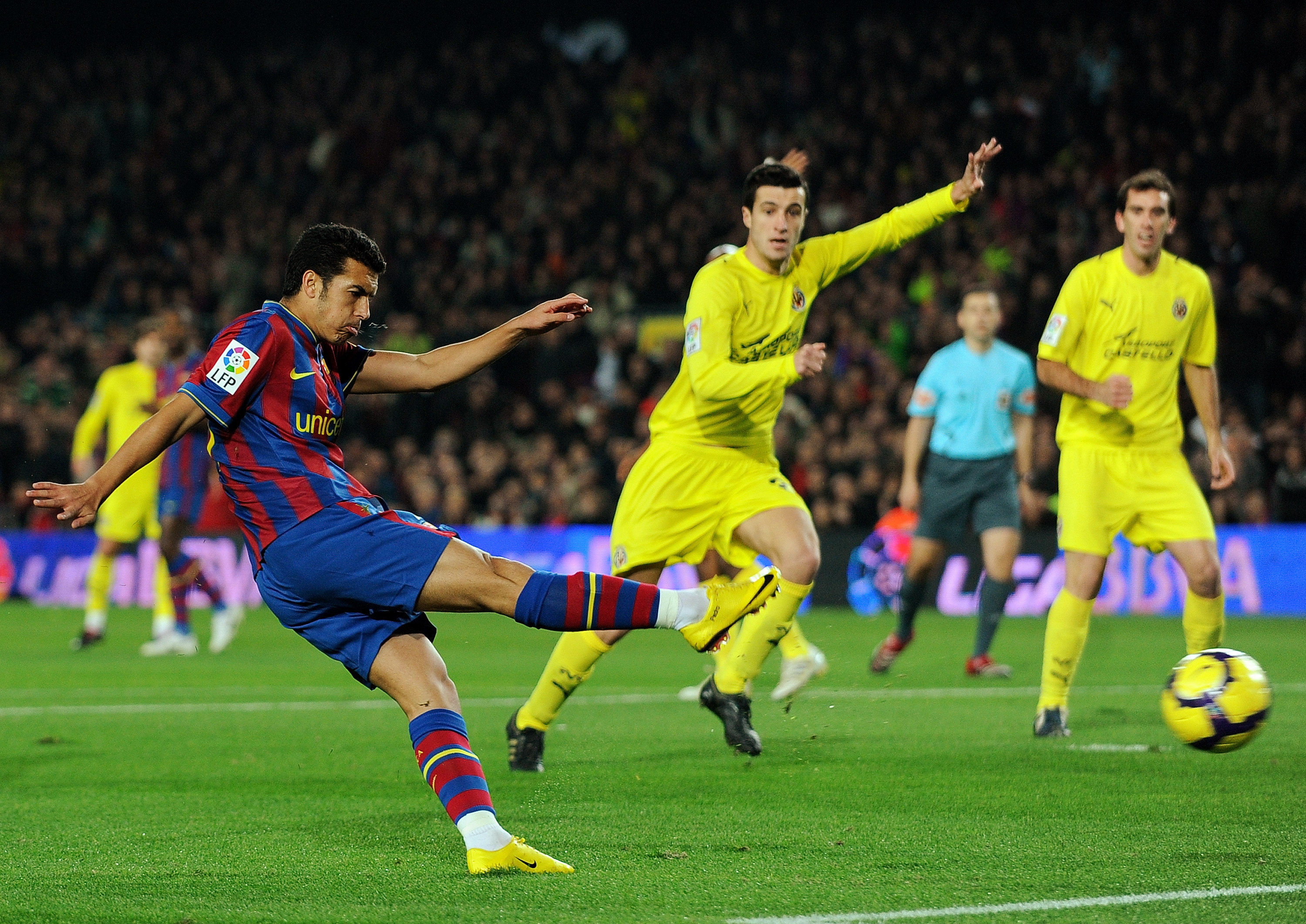 这为未来的 这为未来的