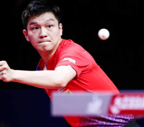 的顽强抵抗 的顽强抵抗